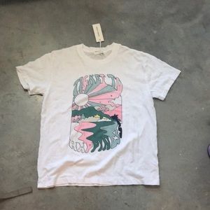 Aritzia denim forum graphic tee